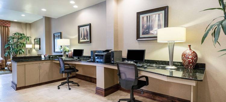 舒适套房酒店(Comfort Suites Leesville Near Fort Johnson)图片