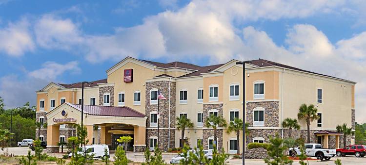 舒适套房酒店(Comfort Suites)图片