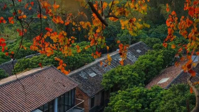 The Jing House