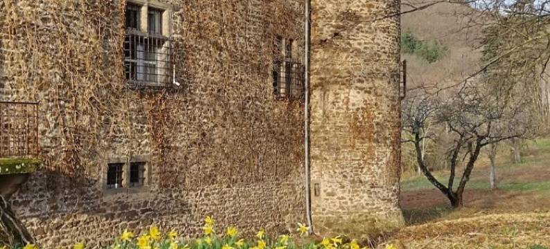 维拉斯城堡(Château de Villars)图片