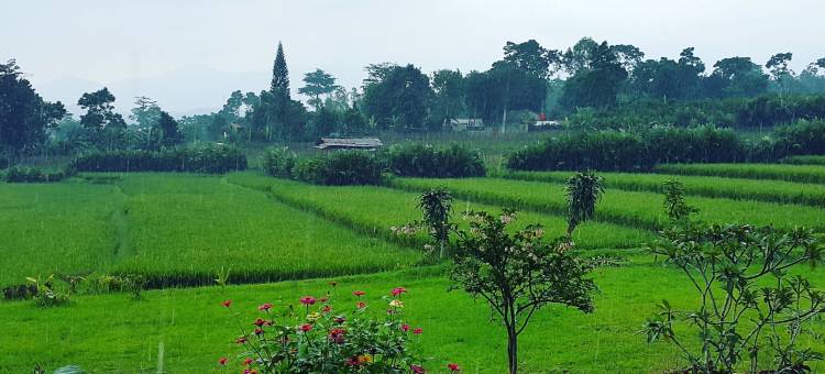 登广山坡酒店(Degung Hillside)图片