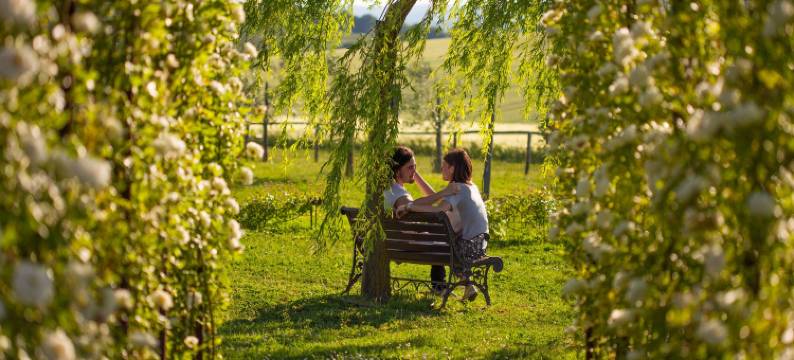 卡萨贝拉维斯住宿加早餐酒店(Casa Bellavista B&B)图片