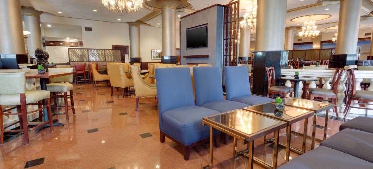 圣路易斯拱门德鲁里广场酒店(Drury Plaza St. Louis at the Arch)图片