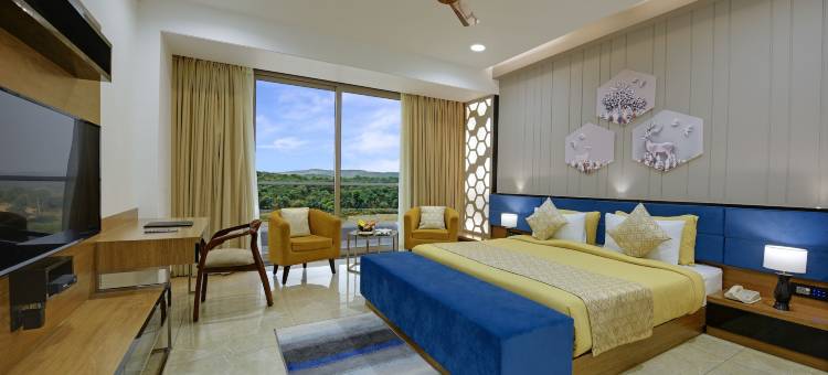 玛鲁迪南丹大酒店(The Maruti Nandan Grand)图片