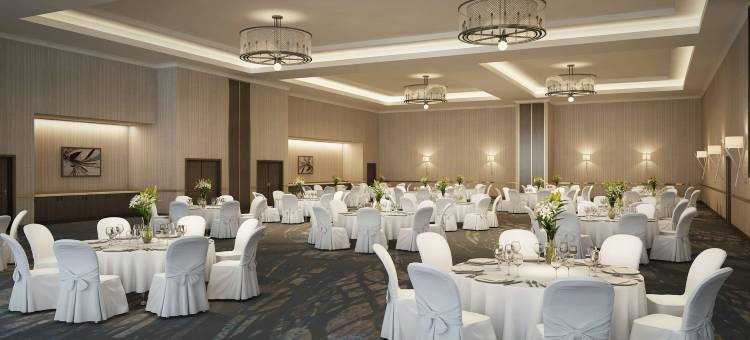 圣安东尼奥布鲁克斯城市基地安泊水疗酒店(Embassy Suites San Antonio Brooks Hotel & Spa)图片