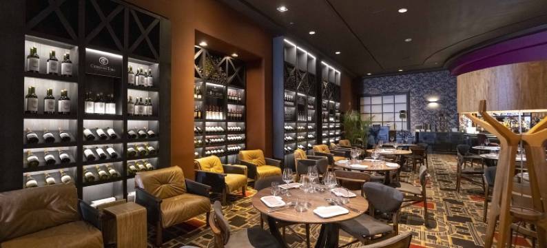 享受普恩塔德尔埃斯特酒店(Enjoy Punta del Este)图片