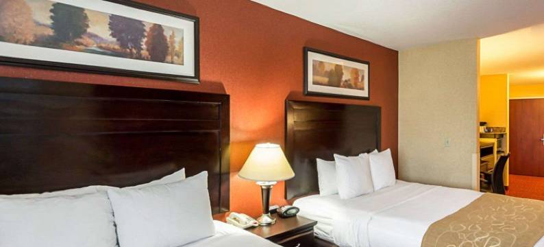 机场舒适套房酒店(Comfort Suites Airport)图片