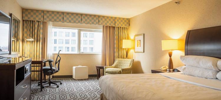 圣保罗市区希尔顿逸林酒店(DoubleTree by Hilton St Paul Downtown)图片