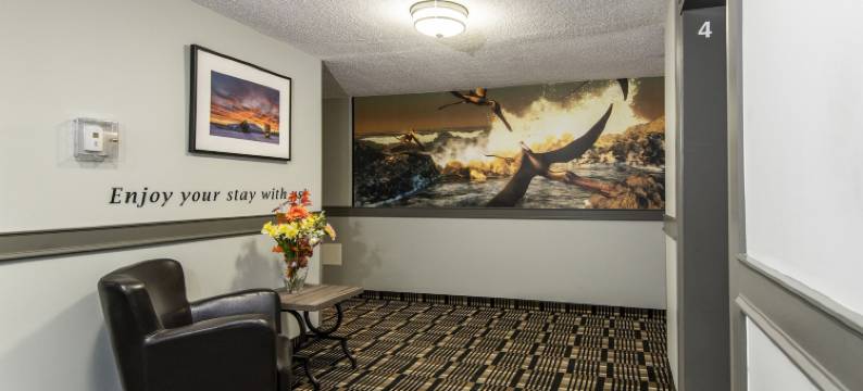 天堂宾馆及会议中心(Paradise Inn & Conference Centre)图片