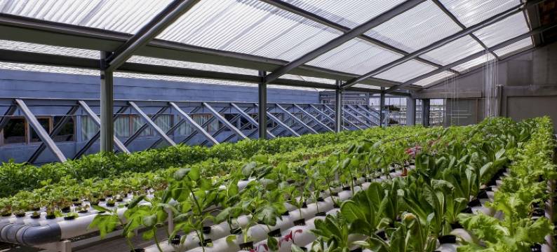 普拉维塔玛格林霍斯特精品酒店(Greenhost Boutique Hotel Prawirotaman)图片