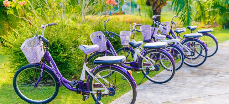 民丹岛别墅(De Bintan Villa)图片