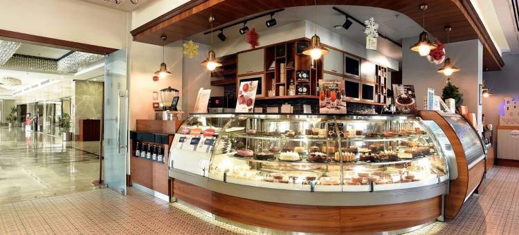 马拉提亚阿尔丁卡伊西温德姆华美达广场酒店(Ramada Plaza by Wyndham Malatya Altin Kayisi)图片