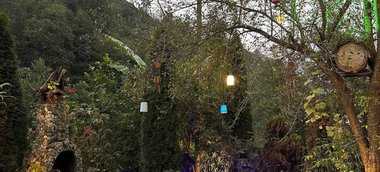 尼赫尔平房酒店(Nehir Bungalows-26436)图片