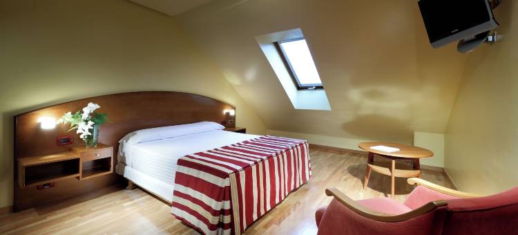 埃玛奇斯桃酒店(Exe Hotel El Magistral)图片