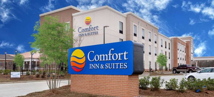 舒适套房酒店(Comfort Inn & Suites Zachary)图片