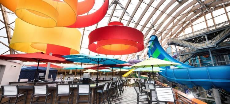 卡尔特里特度假酒店及室内水上乐园(The Kartrite Resort and Indoor Waterpark)图片