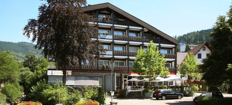 北斗星酒店(Hotel Pflug)图片