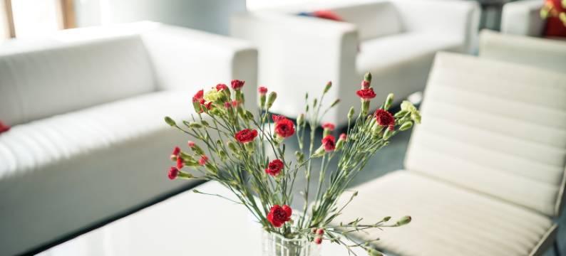 托特夏季酒店(Summer Hotel Tott)图片