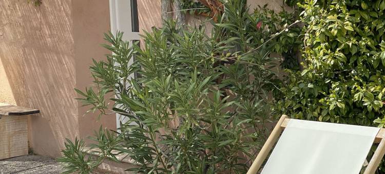 美好星星 - 客房旅馆(La Belle Etoile Chambres)图片