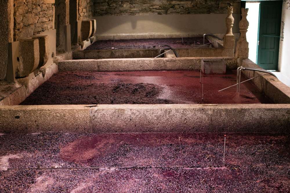 Quinta da GrichaOver view