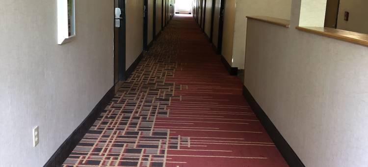 福里斯特格罗夫希尔斯伯勒美洲最佳价值套房酒店(Americas Best Value Inn & Suites-Forest Grove/Hillsboro)图片