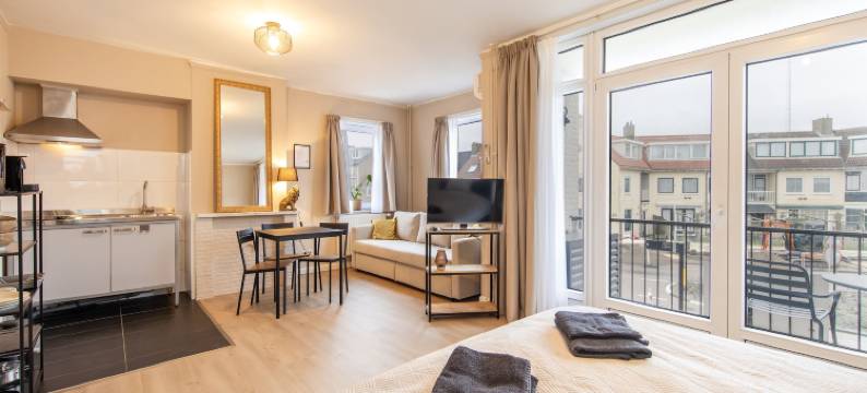 布兰基比尔旅馆(Blankebil Studios & Apartments)图片