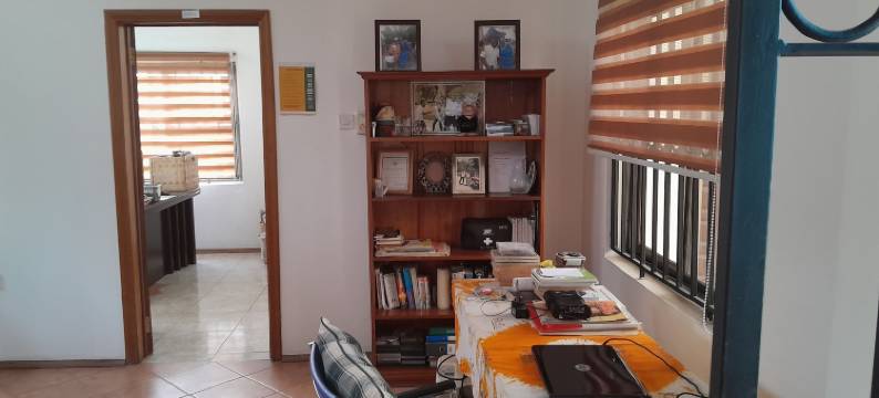 桑科法别墅(Villa Sankofa)图片