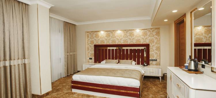 安纳蒙乌萨克酒店(Anemon Kent Uşak Hotel)图片