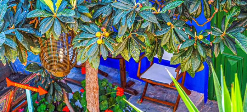 西弥花园公园酒店(Symi Garden Studios)图片