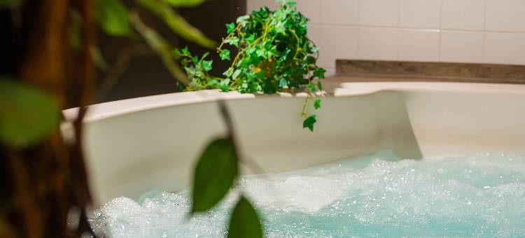 水瓶座芬兰酒店(Finlandia Hotel Aquarius)图片