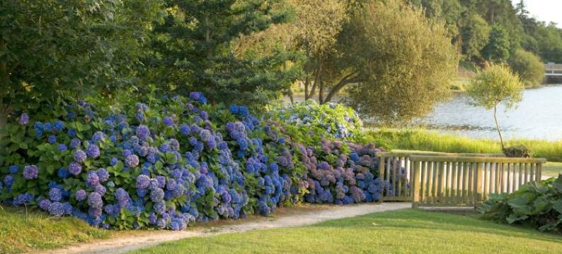 兰斯洛特温泉酒店(Hôtel Lancelot & Spa - Domaine du Roi Arthur)图片