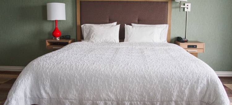 希尔顿欢朋套房酒店-穆尔(Hampton Inn and Suites Moore)图片