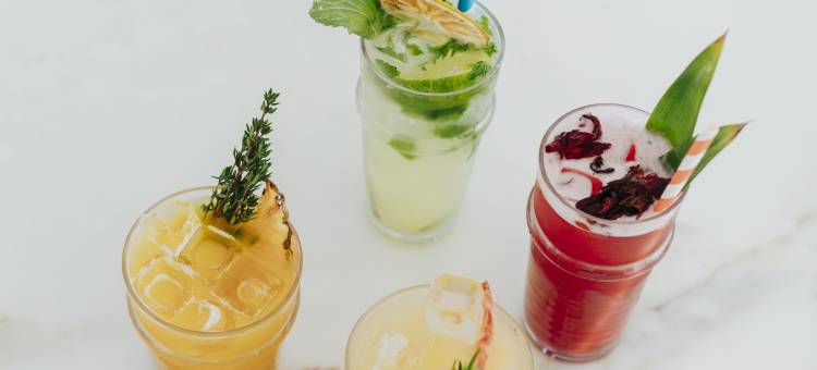 迈阿密海滩旅行者(Viajero Miami)图片