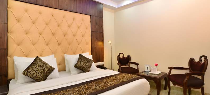 新德里火车站德里55号酒店(Hotel Delhi 55 -City Center)图片