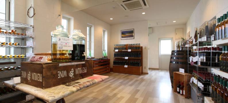 北国度假酒店(Resort Inn North Country)图片