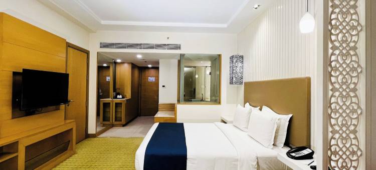 Holiday Inn 阿姆利则兰吉特大道(Holiday Inn Amritsar Ranjit Avenue)图片