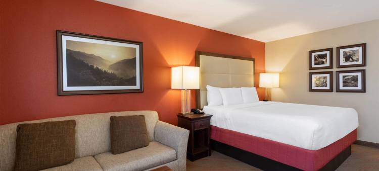 鸽子谷拉昆塔温德姆套房酒店(La Quinta Inn & Suites by Wyndham Pigeon Forge)图片