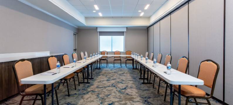 坦帕西北奥尔兹马希尔顿花园酒店(Hilton Garden Inn Tampa Northwest/Oldsmar)图片