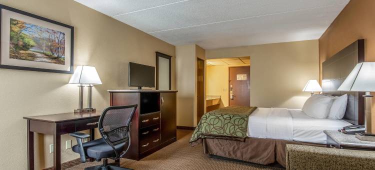 塔利I-81凯艺酒店(Quality Inn Tully I-81)图片