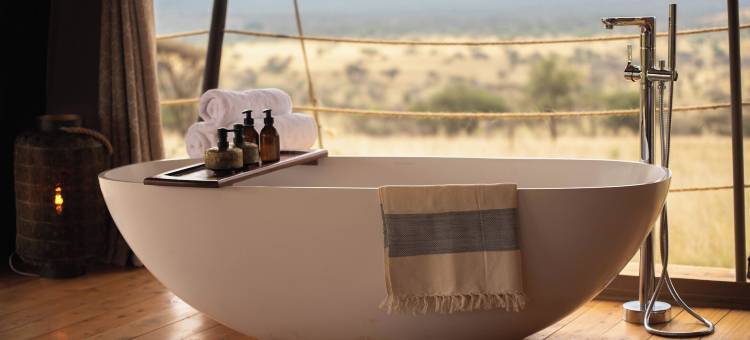 塞伦盖蒂豪华度假村(Serengeti Luxury Retreat)图片