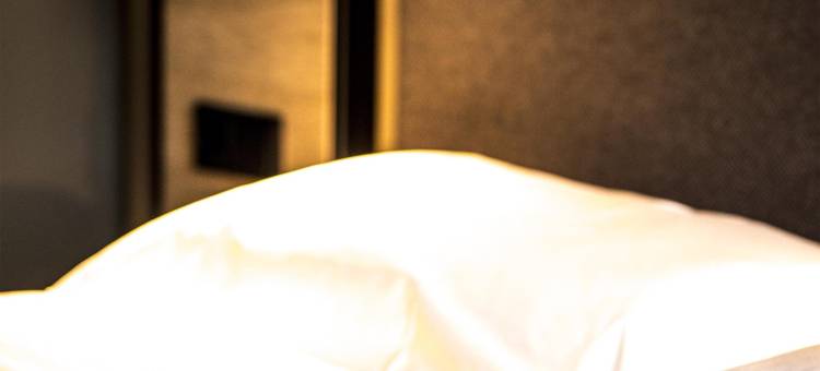 宜必思威尔斯酒店(Ibis Wels)图片