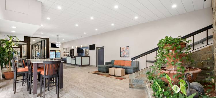 费尔法克斯贝斯特韦斯特酒店(Best Western Fairfax)图片