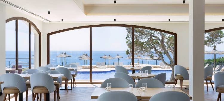 Alua Suites Las Rocas图片