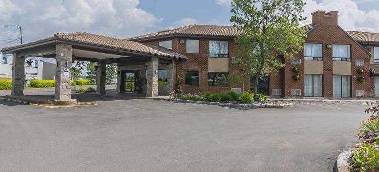 莱维斯舒适酒店(Comfort Inn)图片