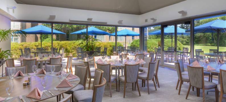 哈德逊上的风玫瑰(Windrose on Hudson)图片