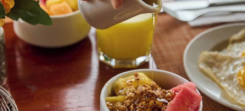 上钦查标准安迪纳民宿(Casa Andina Standard Chincha)图片