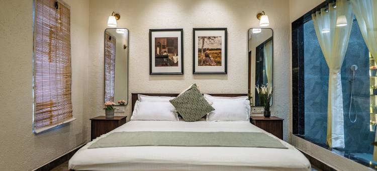 阿埃拉基棕榈(Aeraki palms)图片