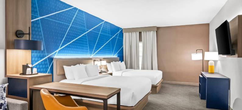 舒适套房酒店(Comfort Suites Conway)图片