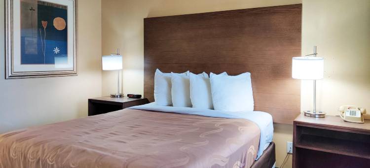 伊斯特I-40伊克诺旅馆(Econo Lodge Flagstaff East I-40)图片