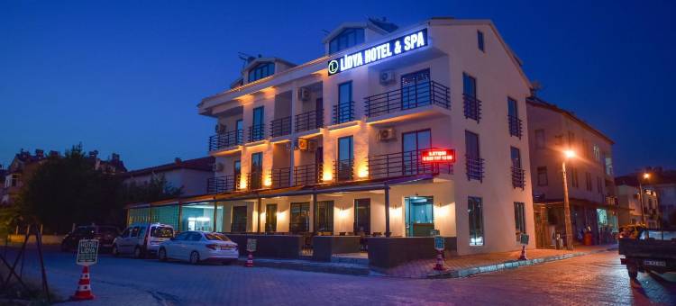 莉迪亚酒店(Lidya Hotel)图片